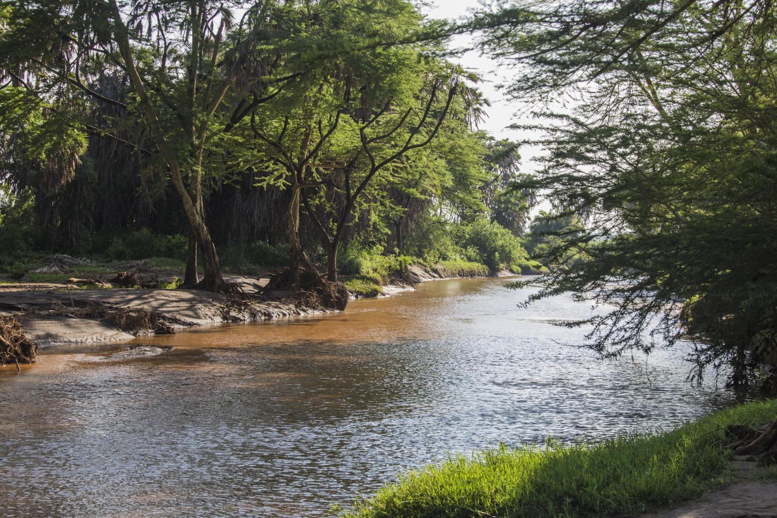 A stable riverbank with lush vegetation