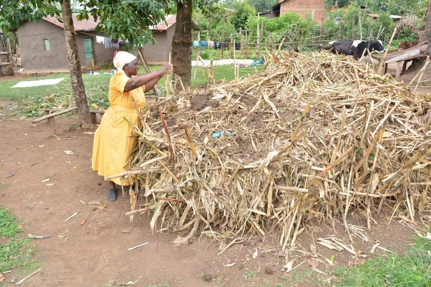 A woman tending to her vertical garden bags